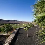 Arbequina Pájara