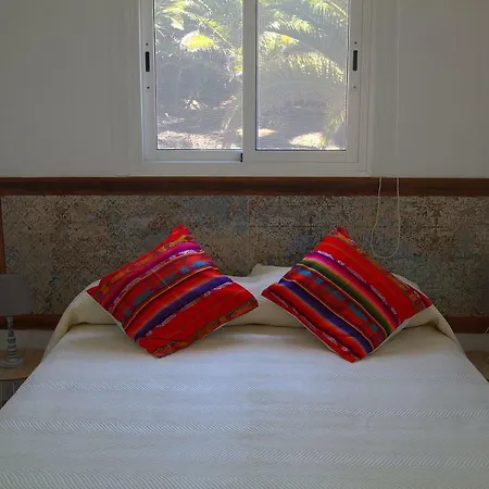 Arbequina Tatil Evi