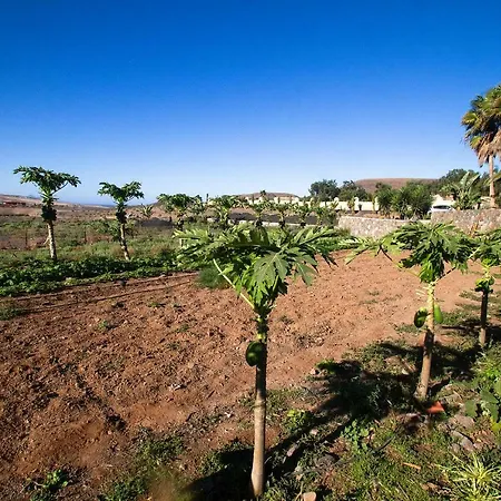 Arbequina Holiday home