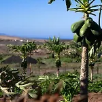 Arbequina Tatil Evi