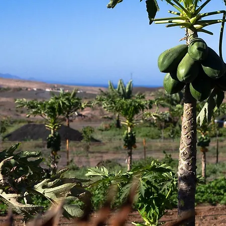 Arbequina Casa vacanze