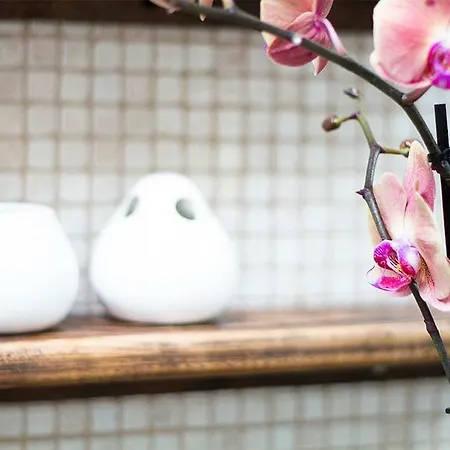 度假居 Arbequina *