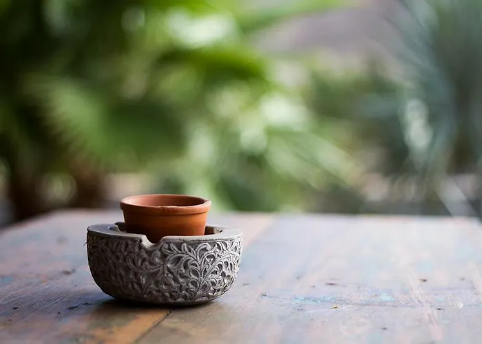 Vakantiehuis Arbequina